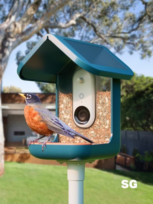bird buddy smart bird feeder