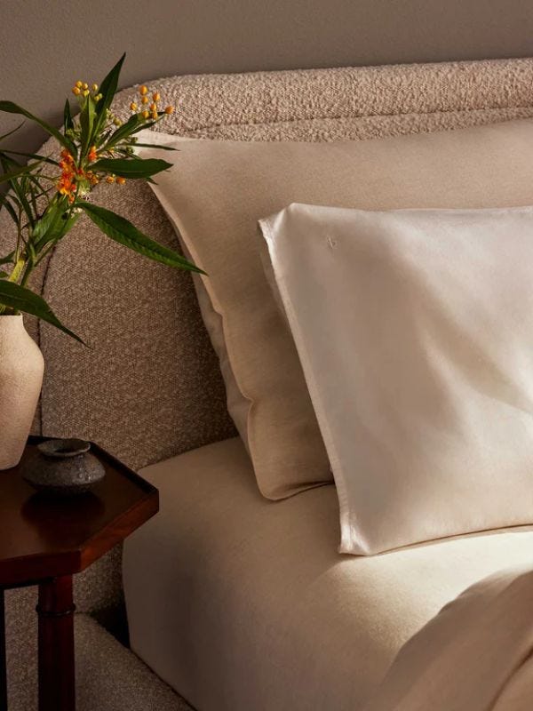 close-up of a well-appointed bed, next to it a nightstand with a green plant in a vase