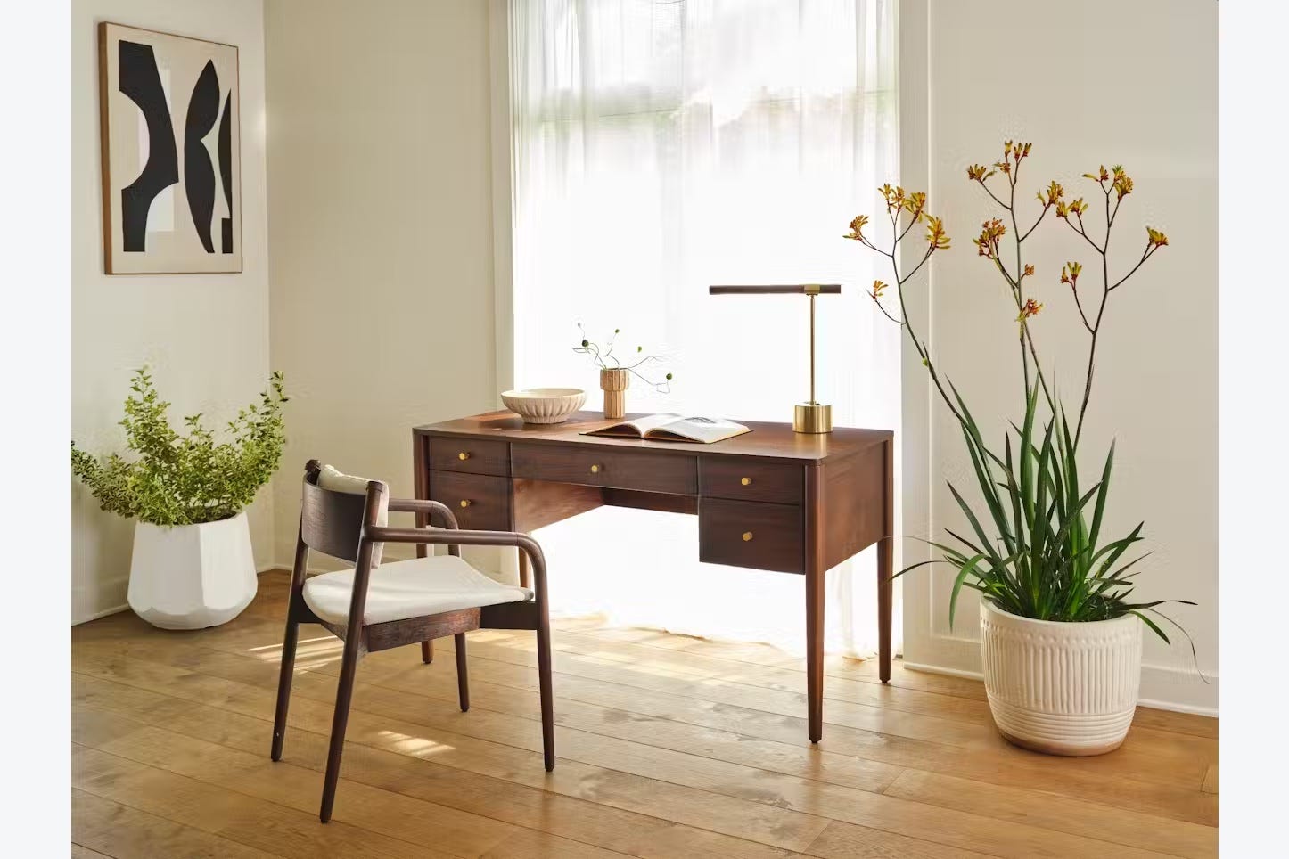 wooden desk and chair sitting in view of a sunny window, surrounded by plants in large potting plants