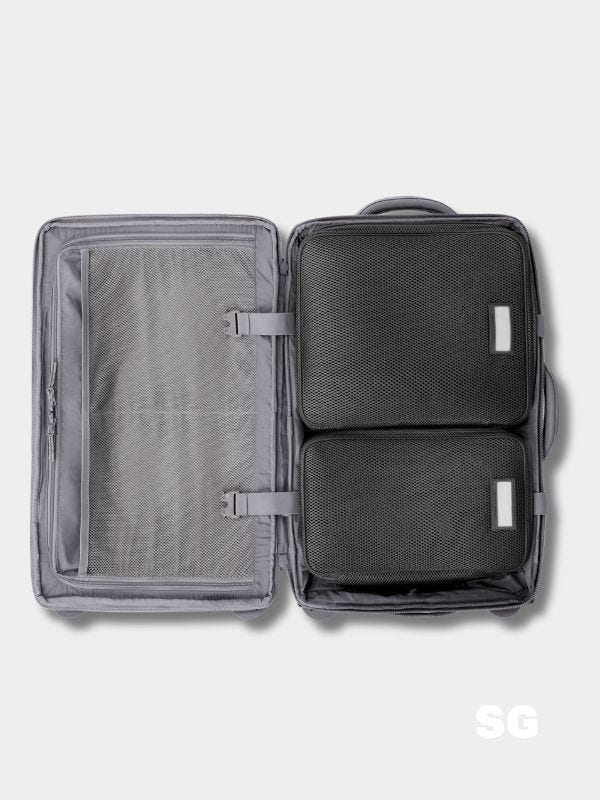dagne dover seattle carry on suitcase in ash