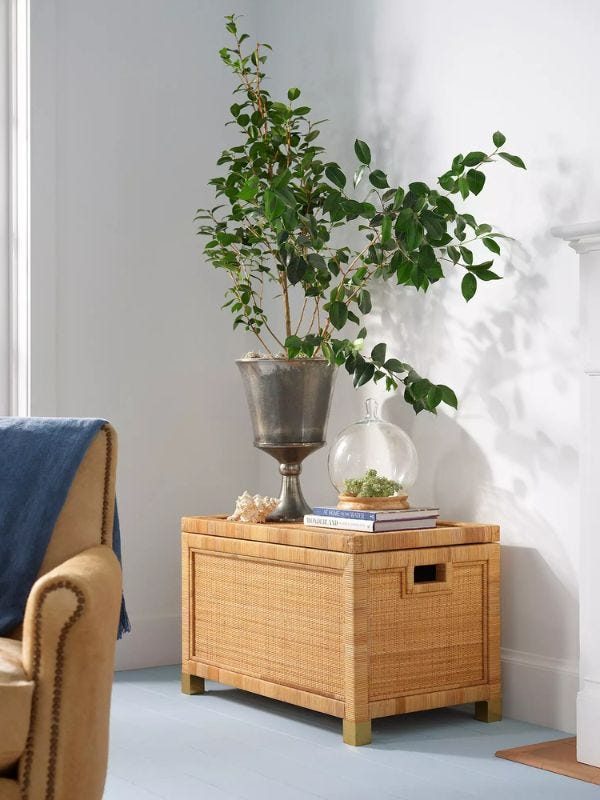 rattan storage trunk with a planter on top next to a leather couch