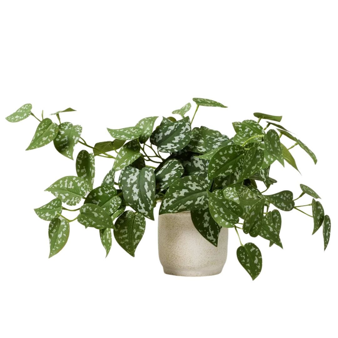 target faux pothos plant in planter