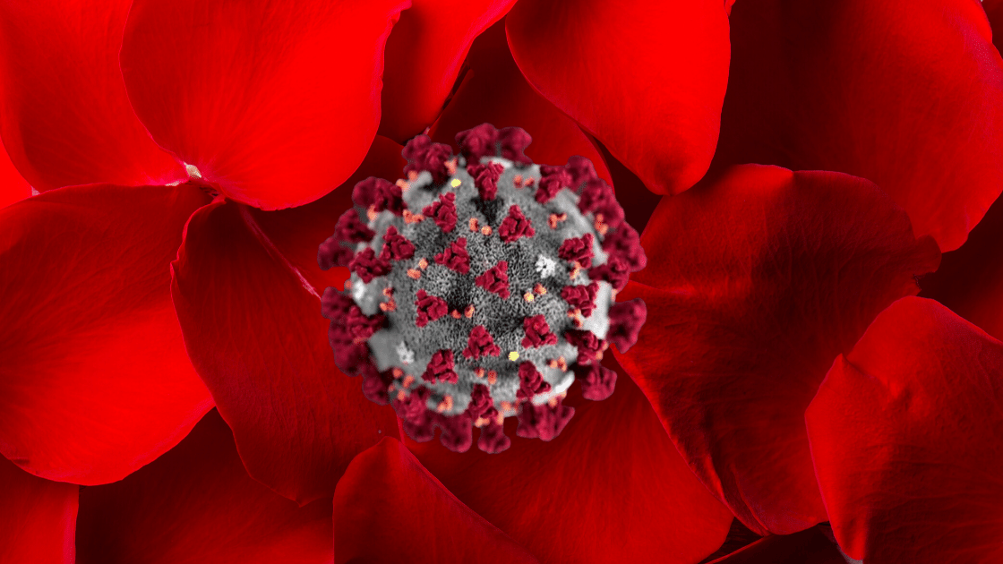 dating and relationships during pandemic quarantine